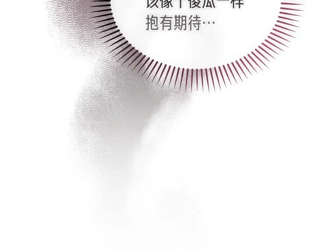 第238页