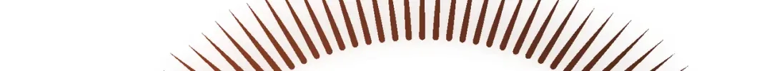 第252页