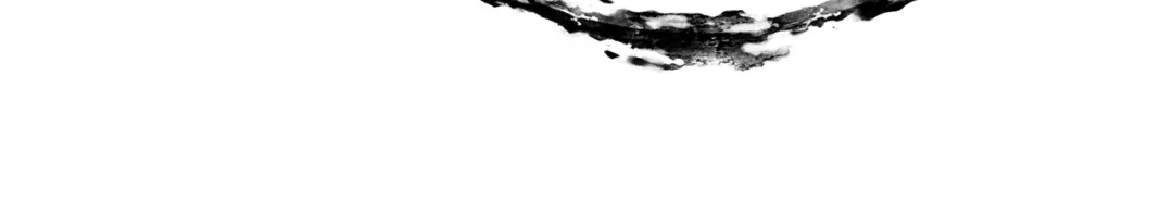 第313页