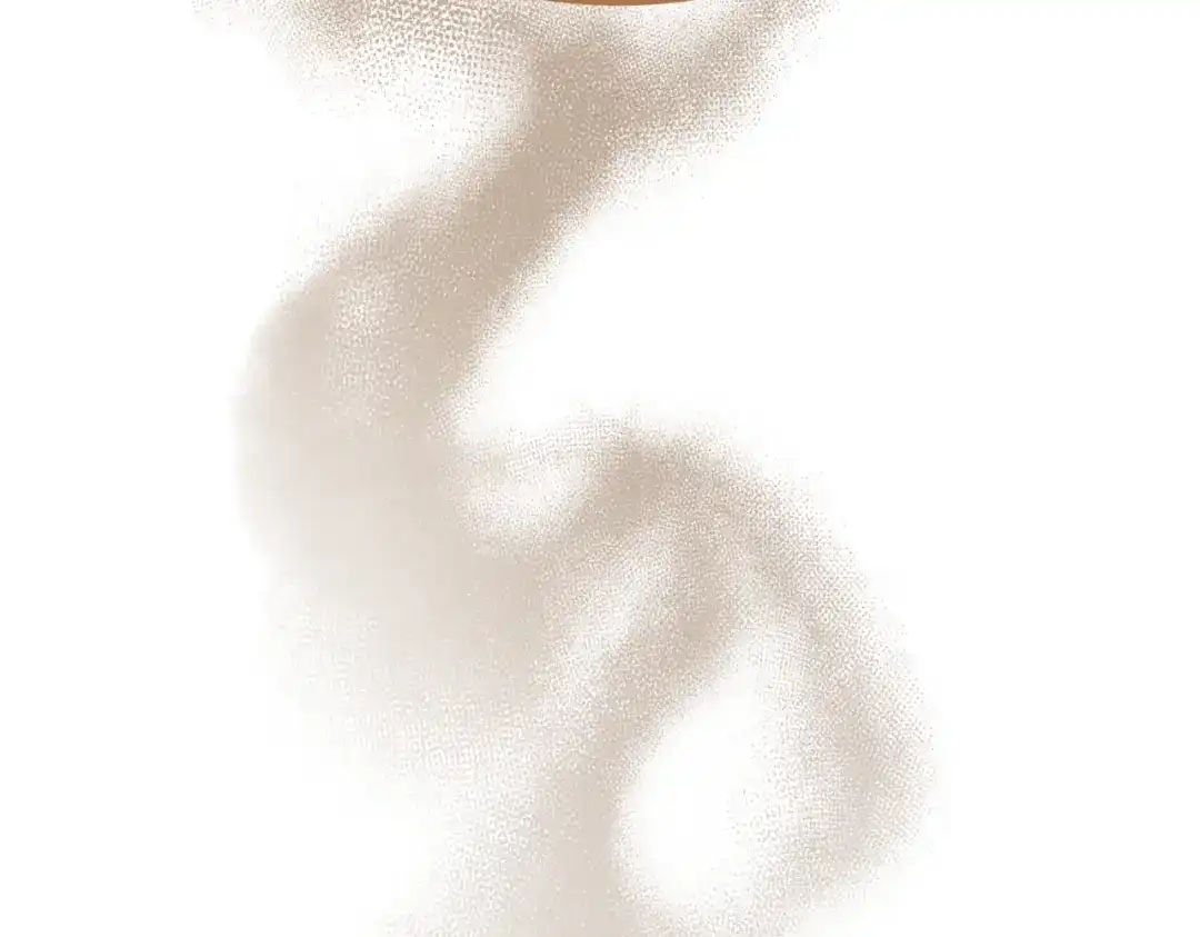 第251页