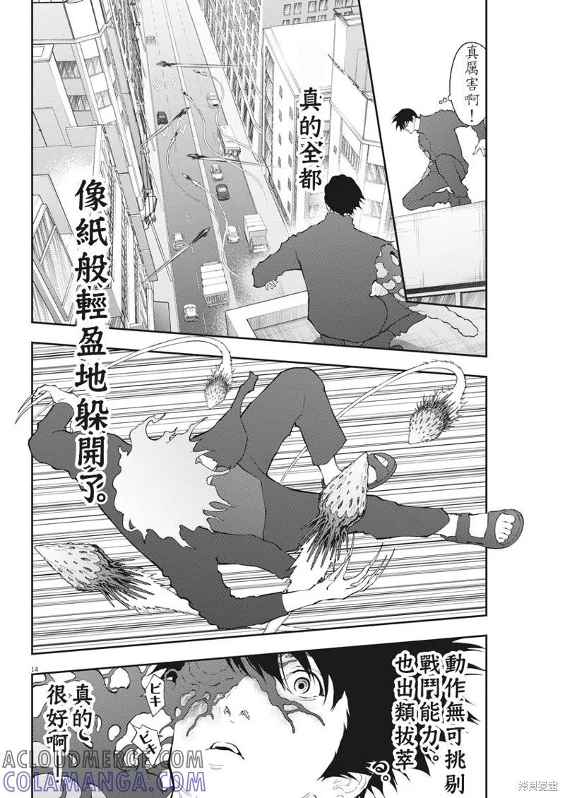 第13页