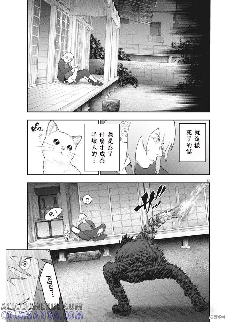 第13页