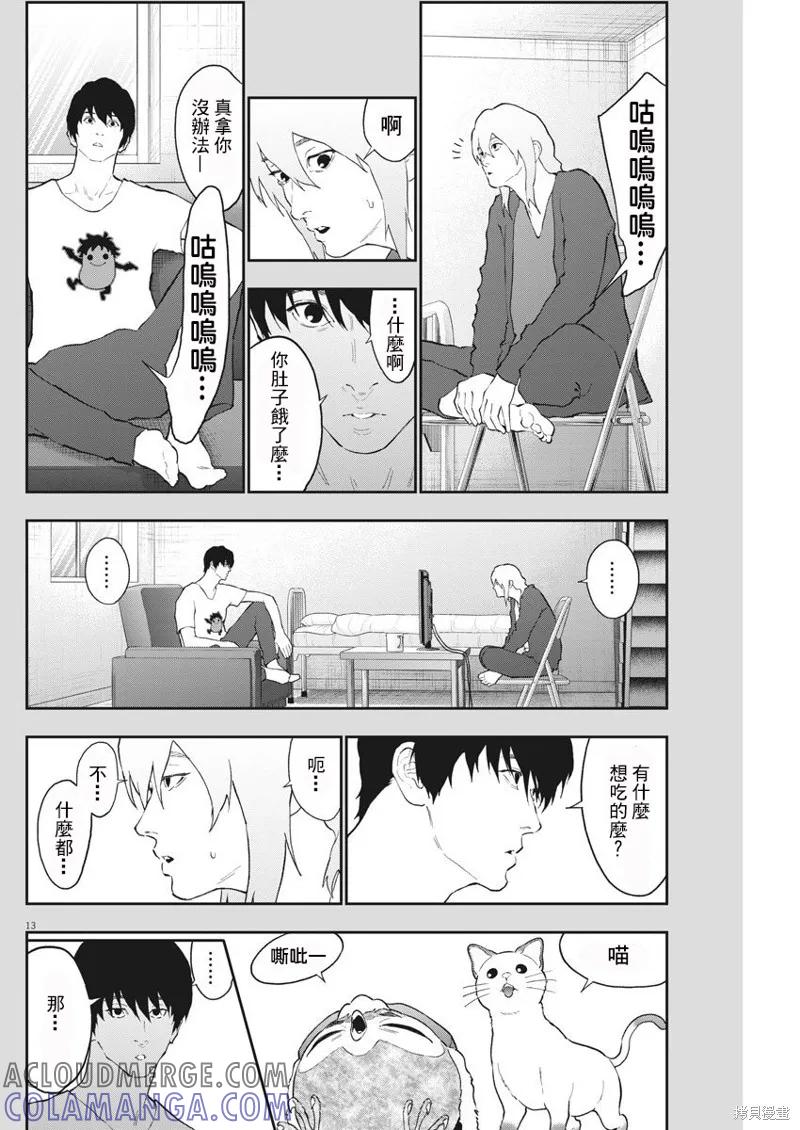 第13页
