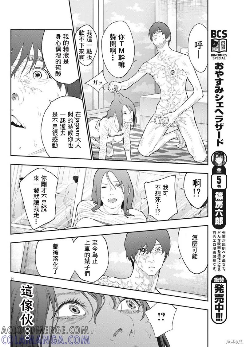 第13页