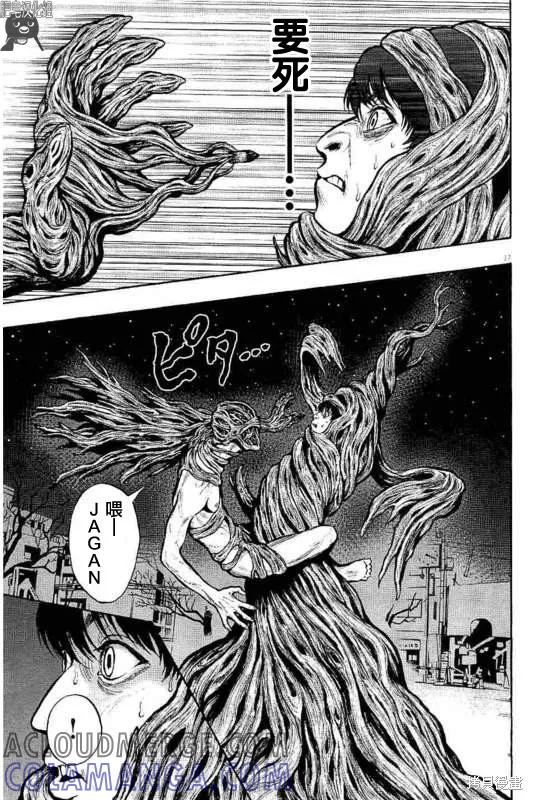 第17页