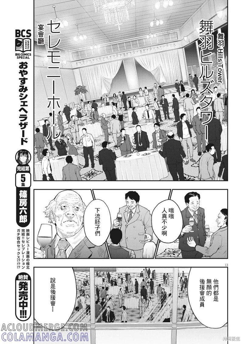 第13页