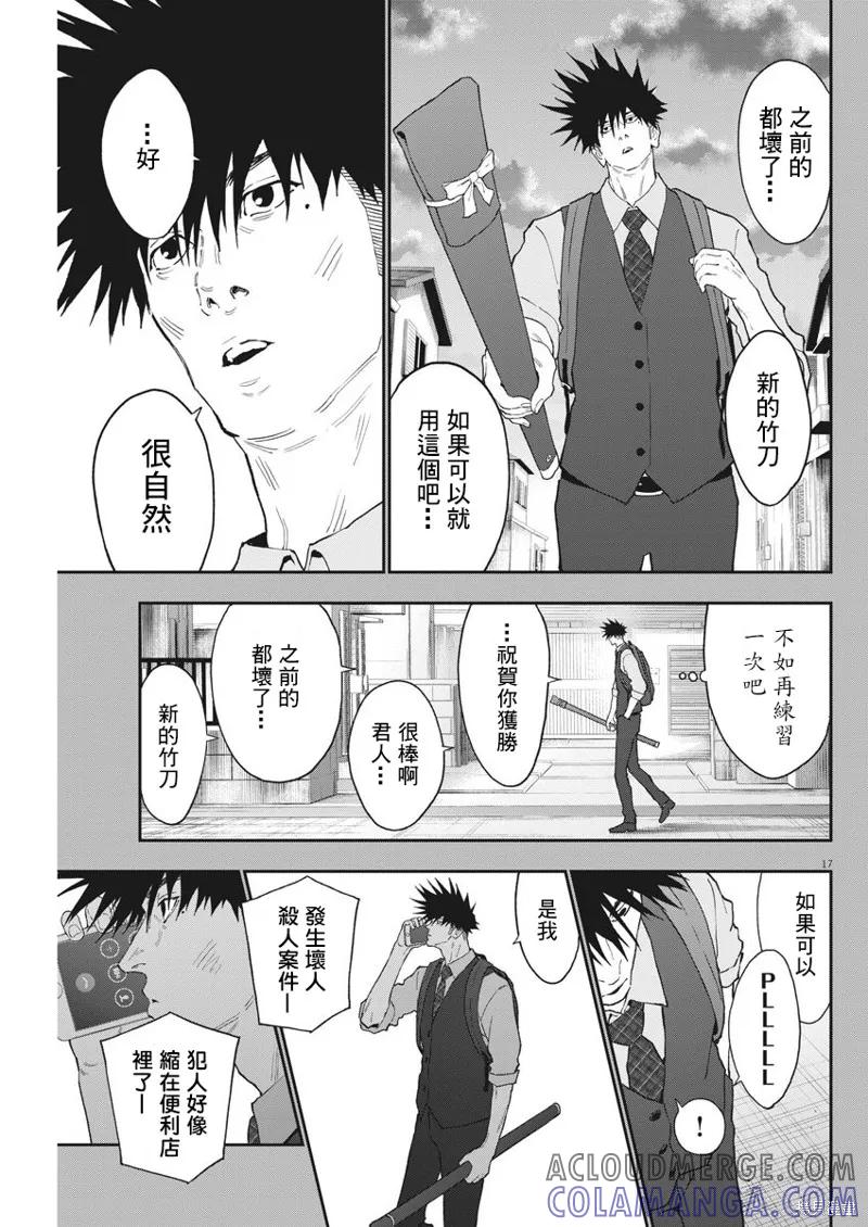 第17页