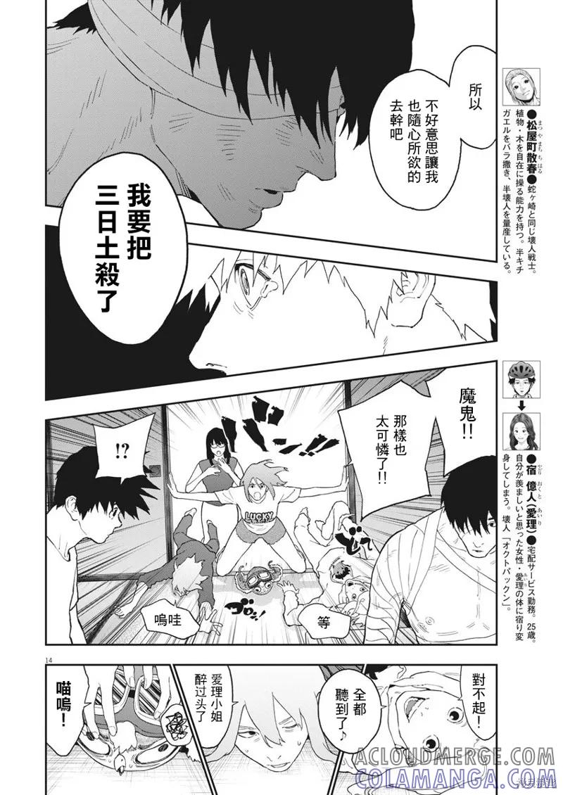 第13页