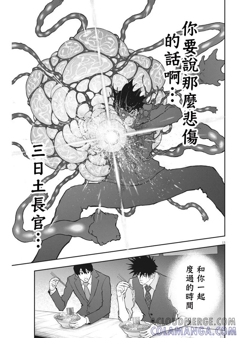 第13页
