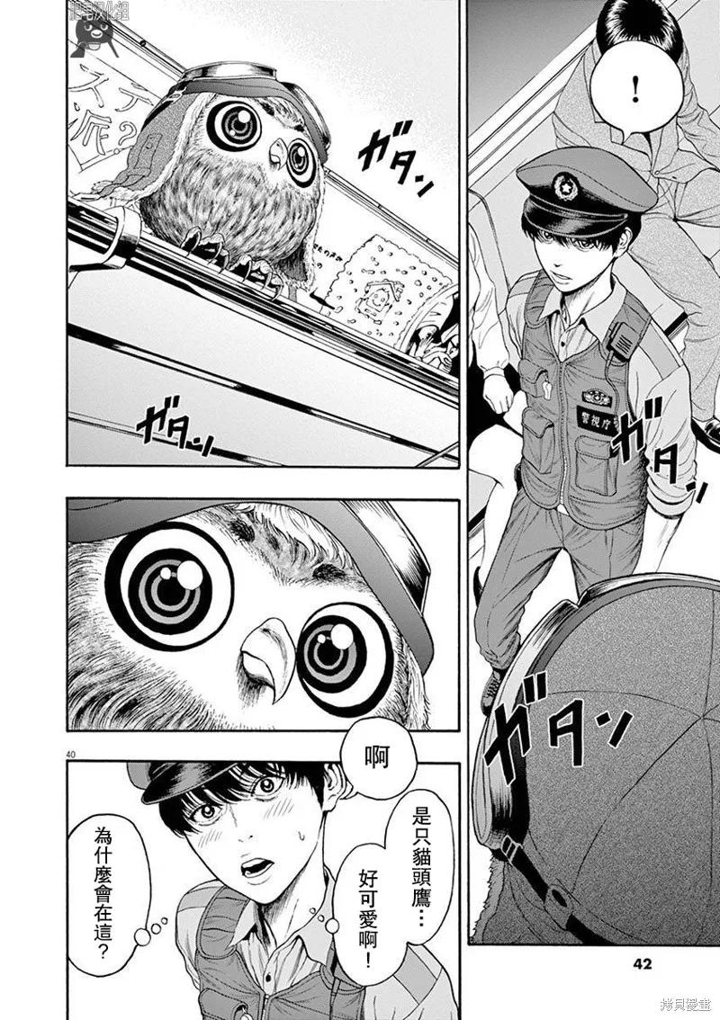 第39页