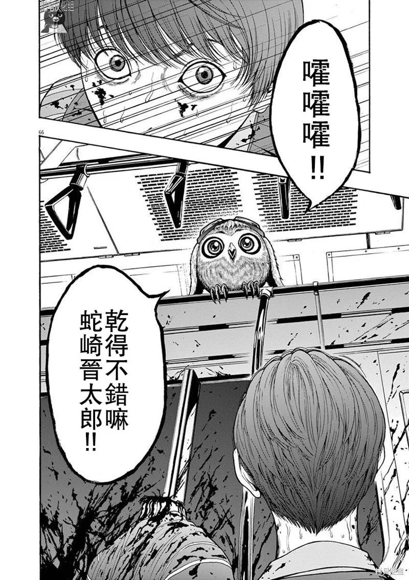 第62页