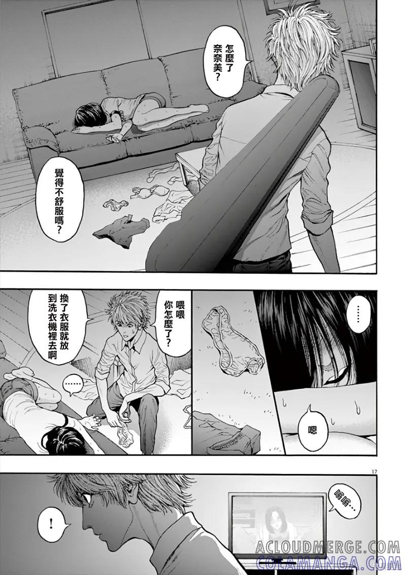第17页