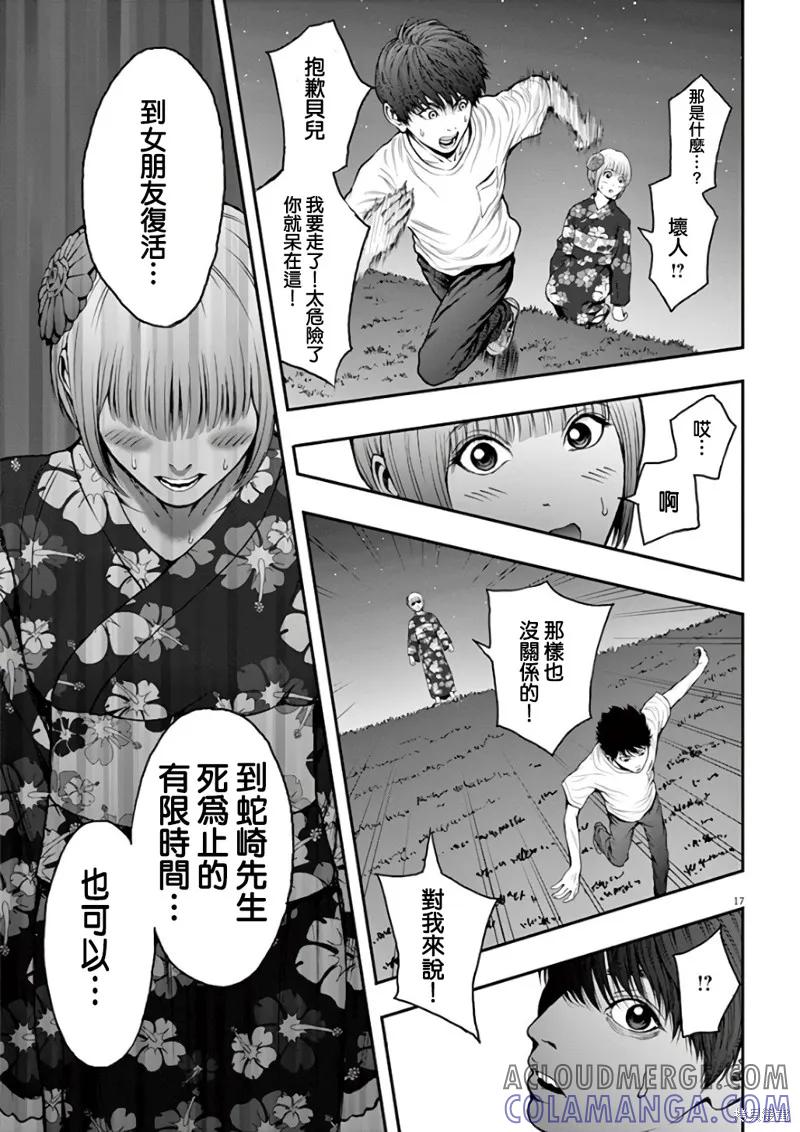 第17页