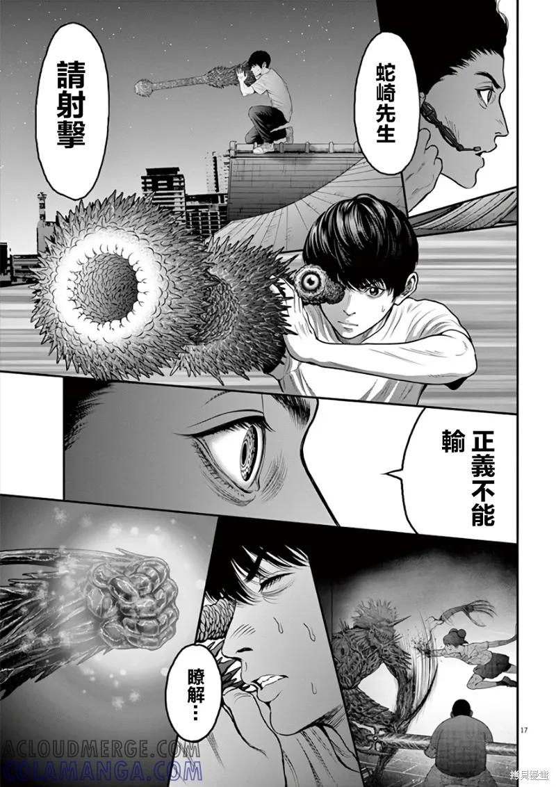 第17页