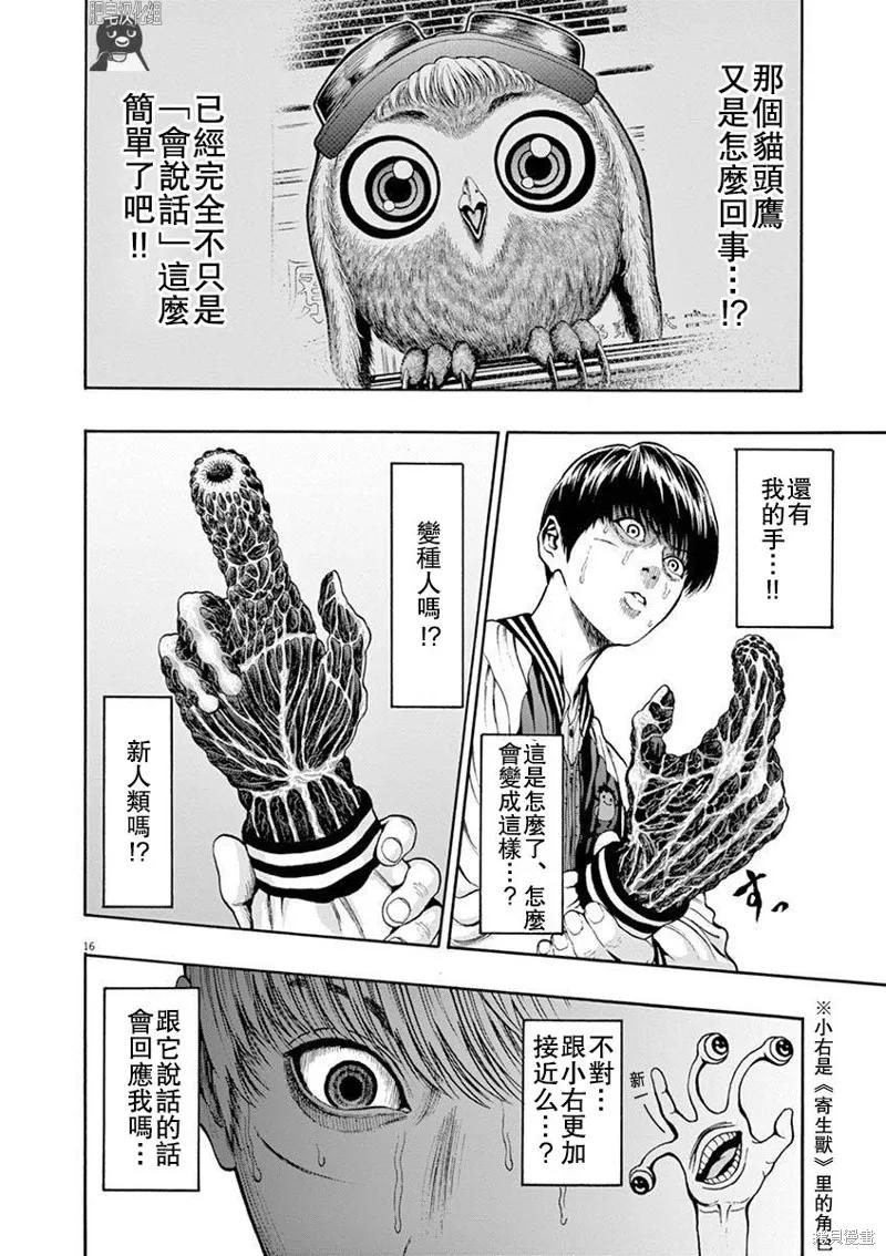 第16页