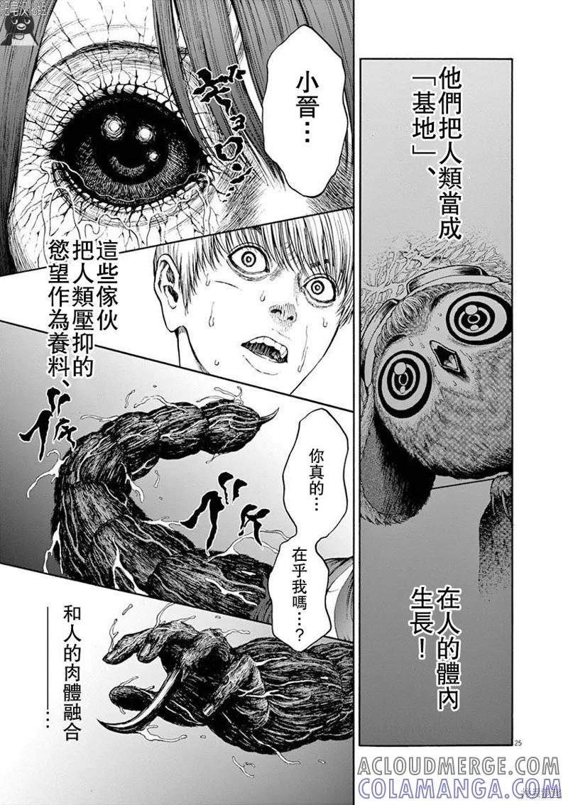 第25页