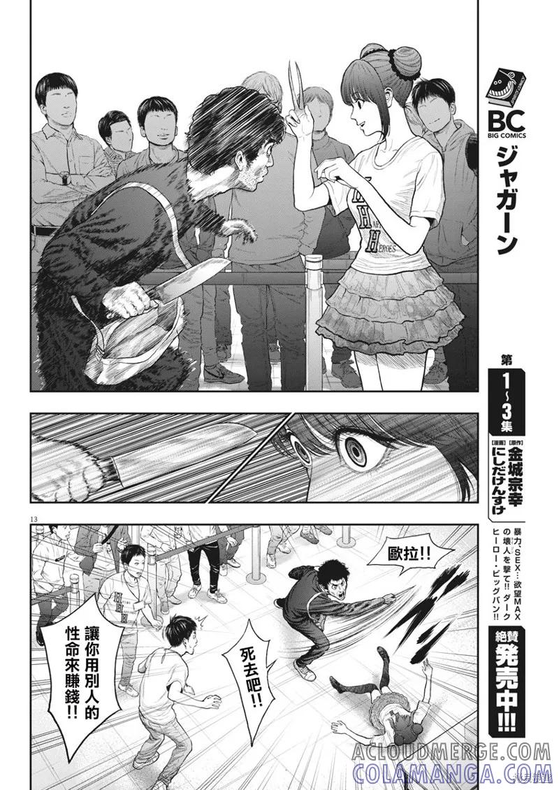 第13页