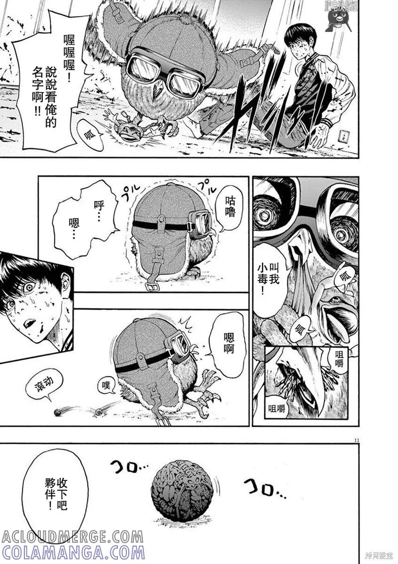 第11页