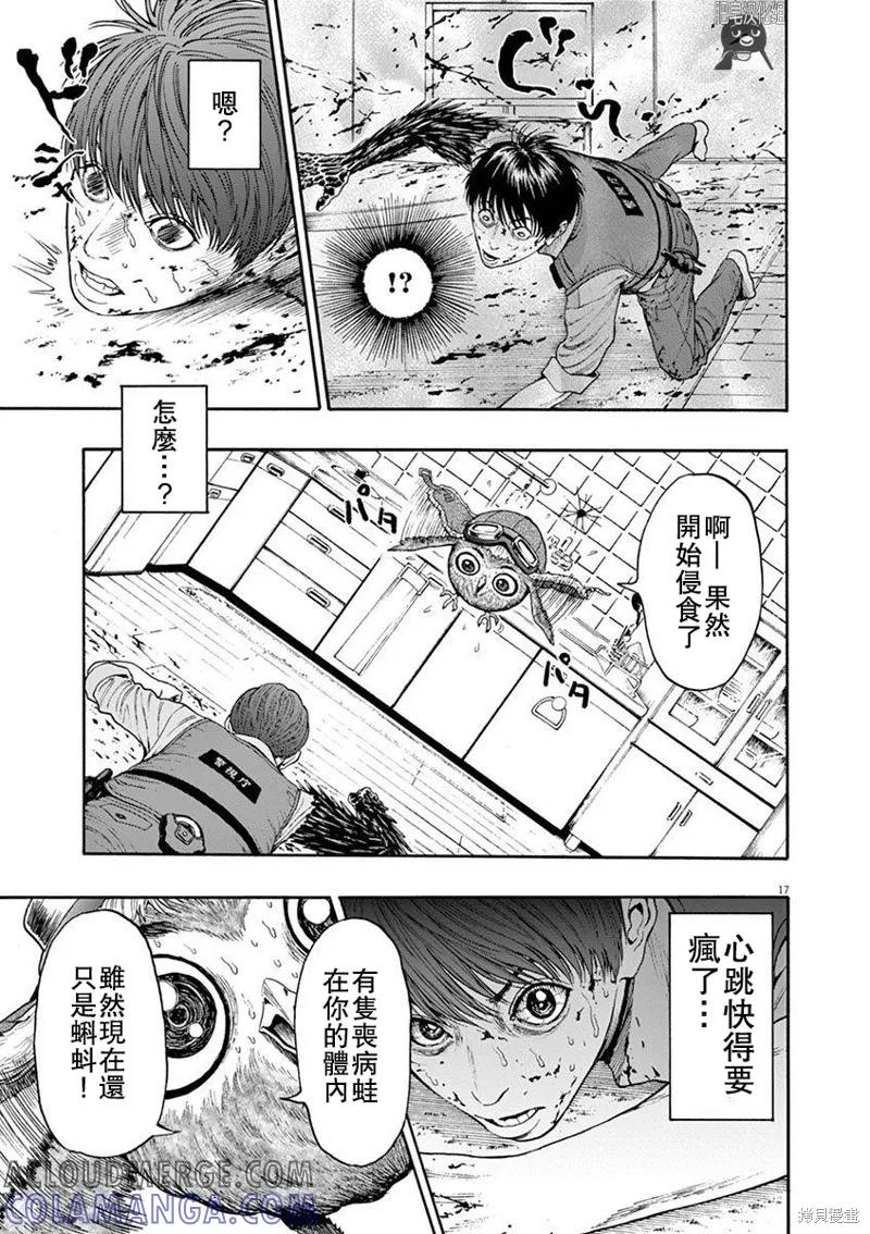 第17页