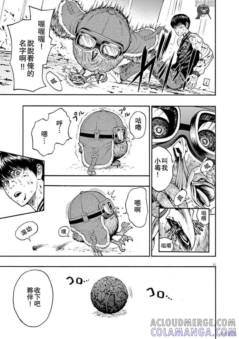 第11页