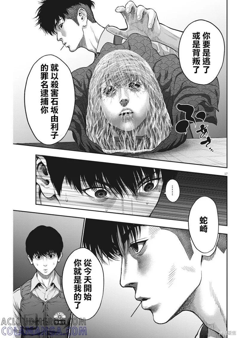 第17页