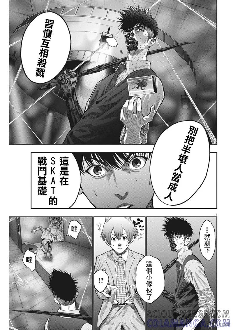 第13页