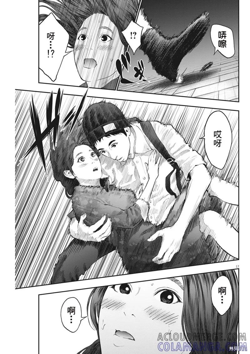 第17页