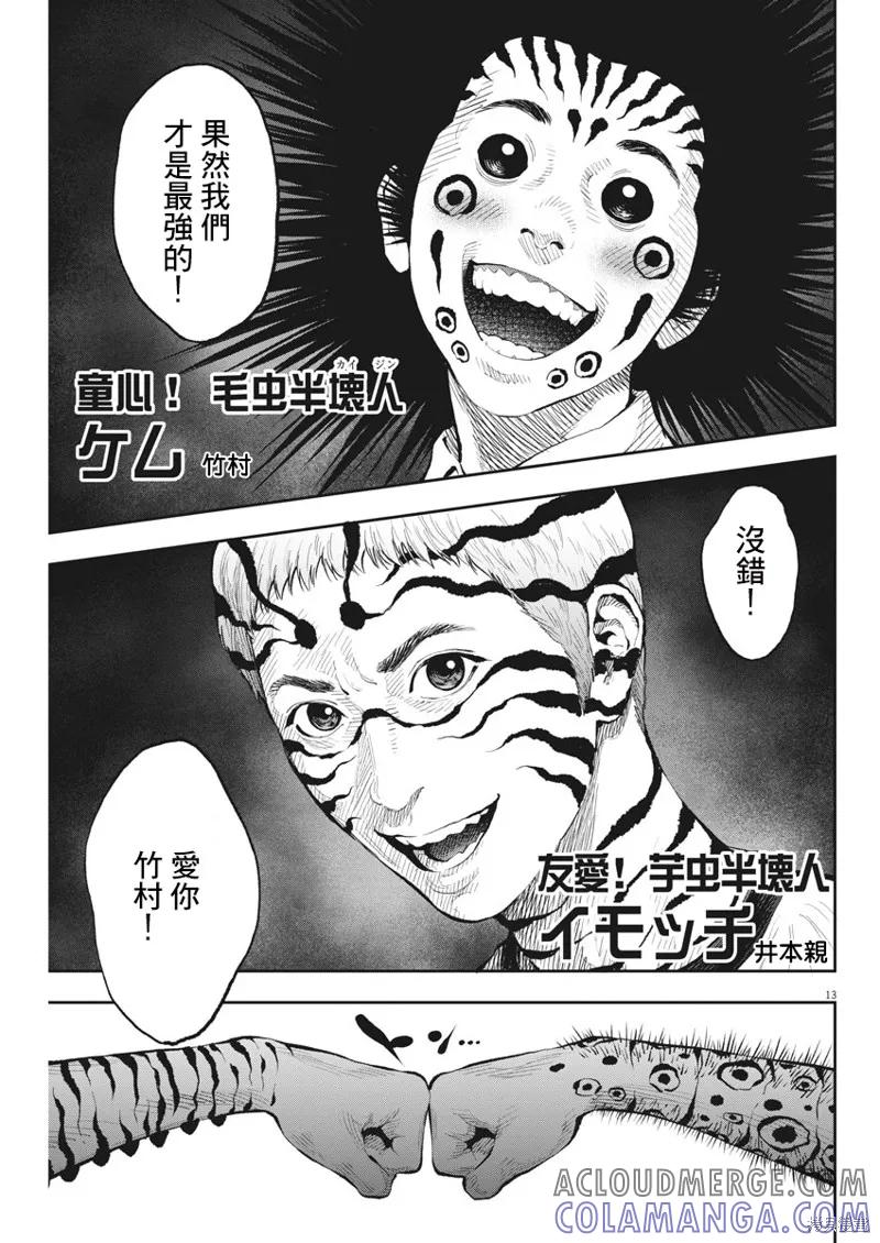 第13页