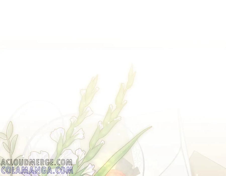 第241页