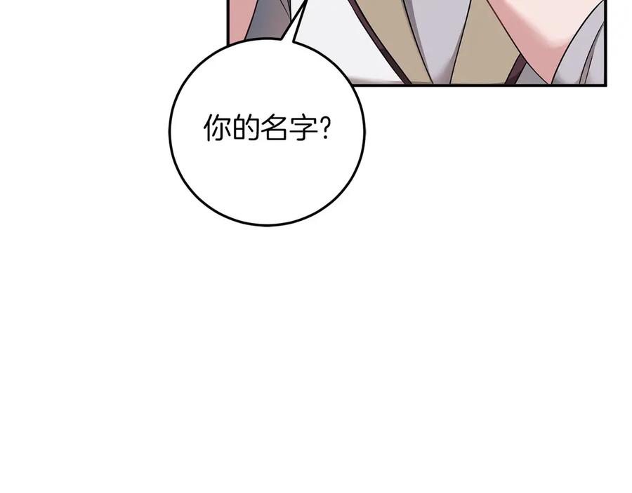 第295页