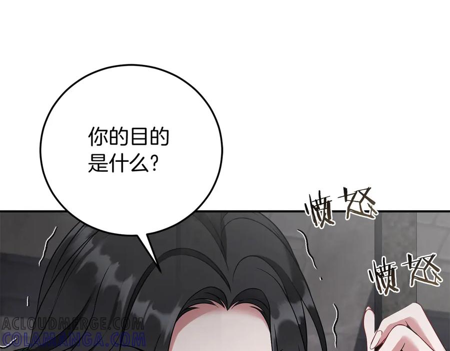 第221页