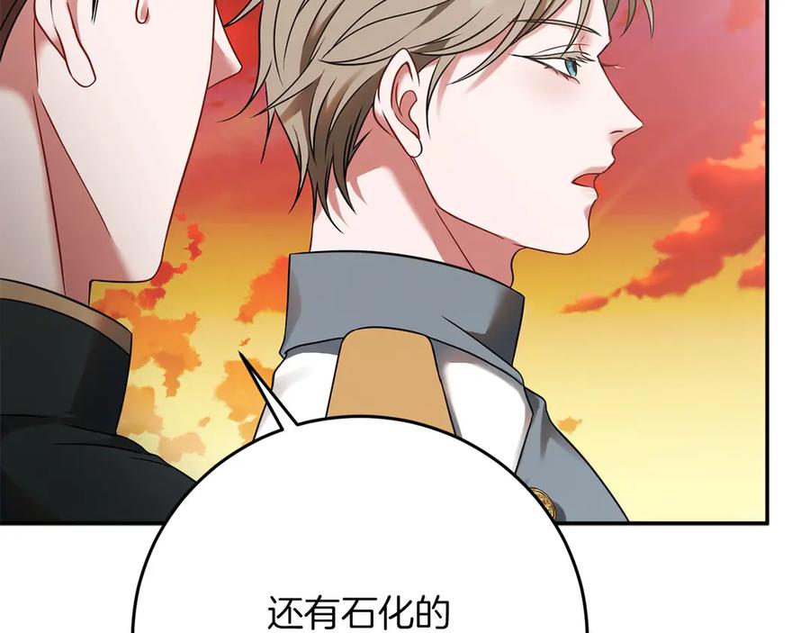 第223页