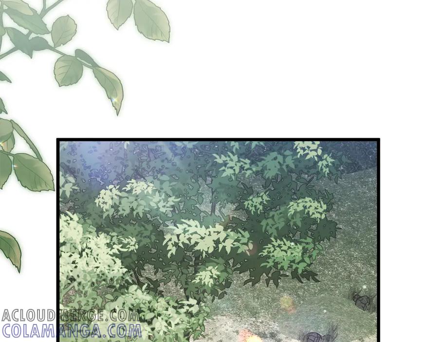 第209页