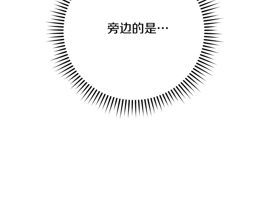 第232页