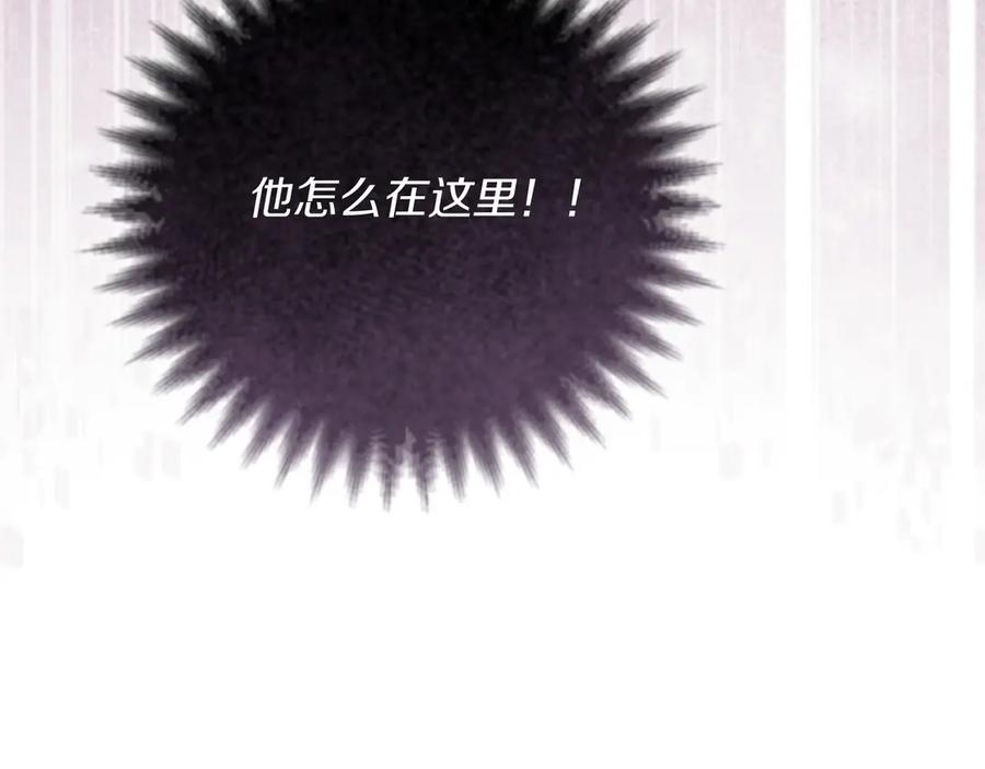第238页