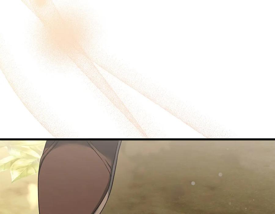 第250页