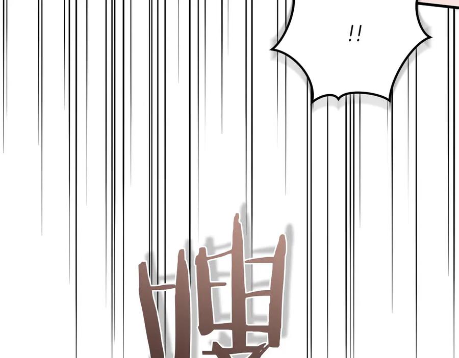 第214页