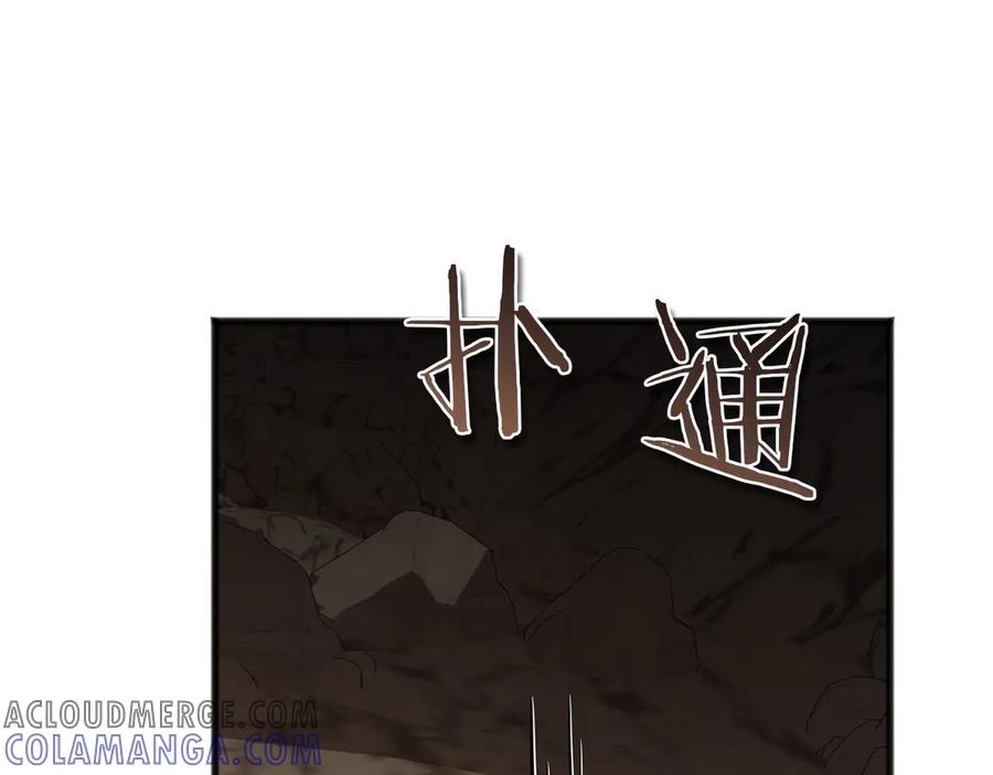 第213页