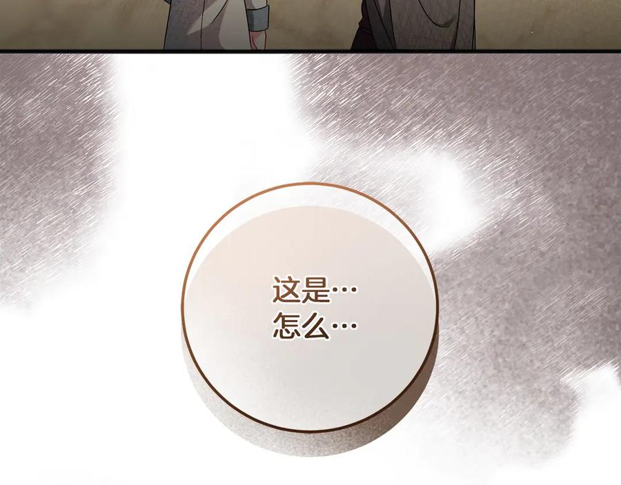 第223页
