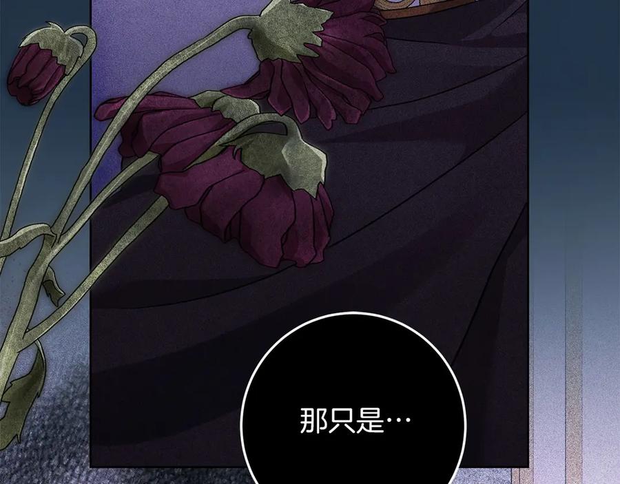 第211页