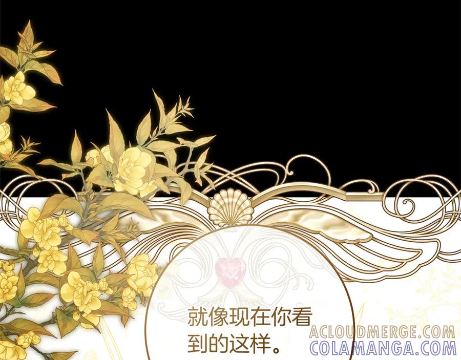 第205页