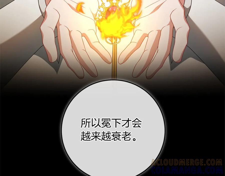 第213页