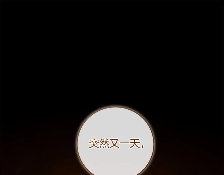第215页