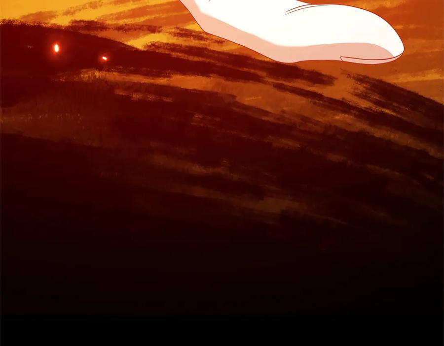 第224页