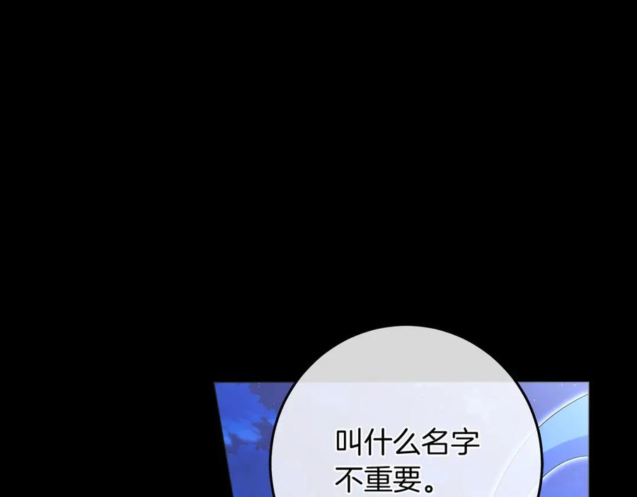 第224页