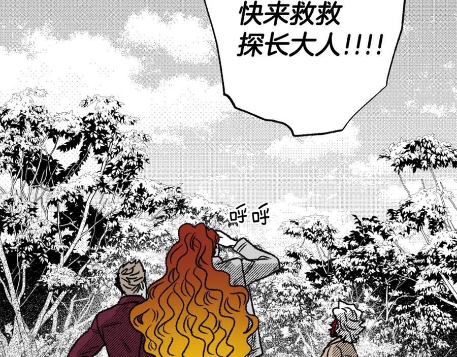 第215页