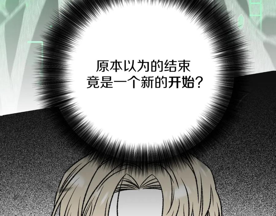 第242页