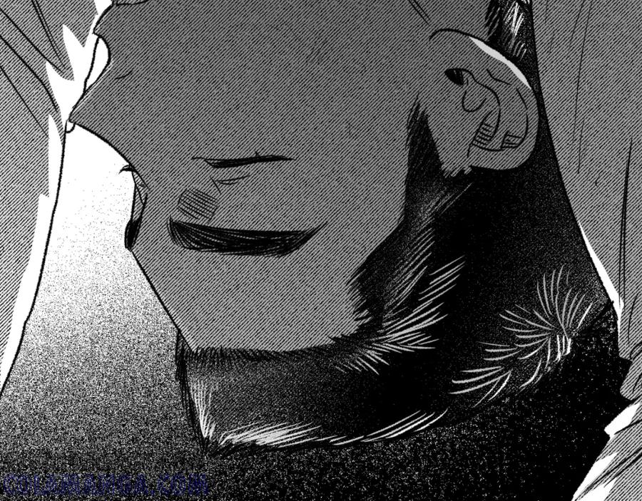 第205页