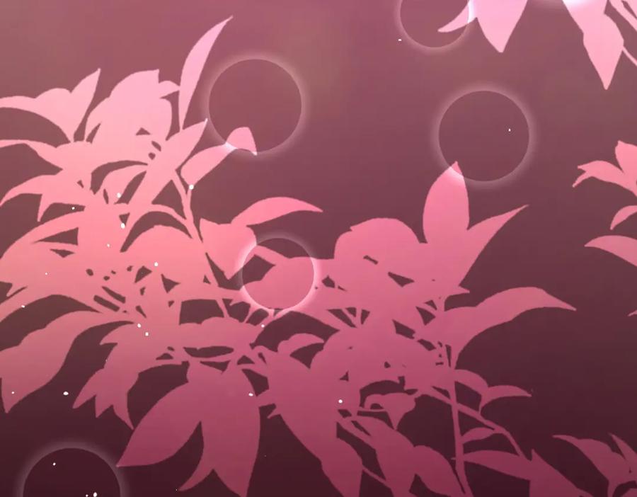 第167页