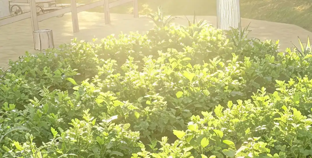 凯洛斯山的十叶花 第59话 毒药草 第114页